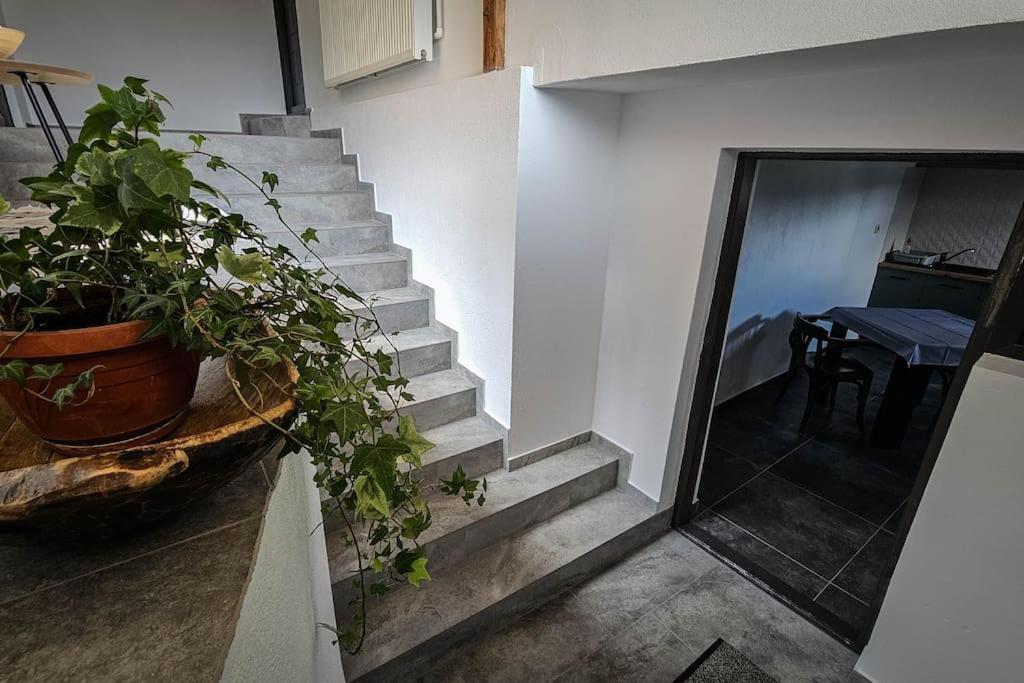 Chalet Dor De Munte Predeal Exterior photo