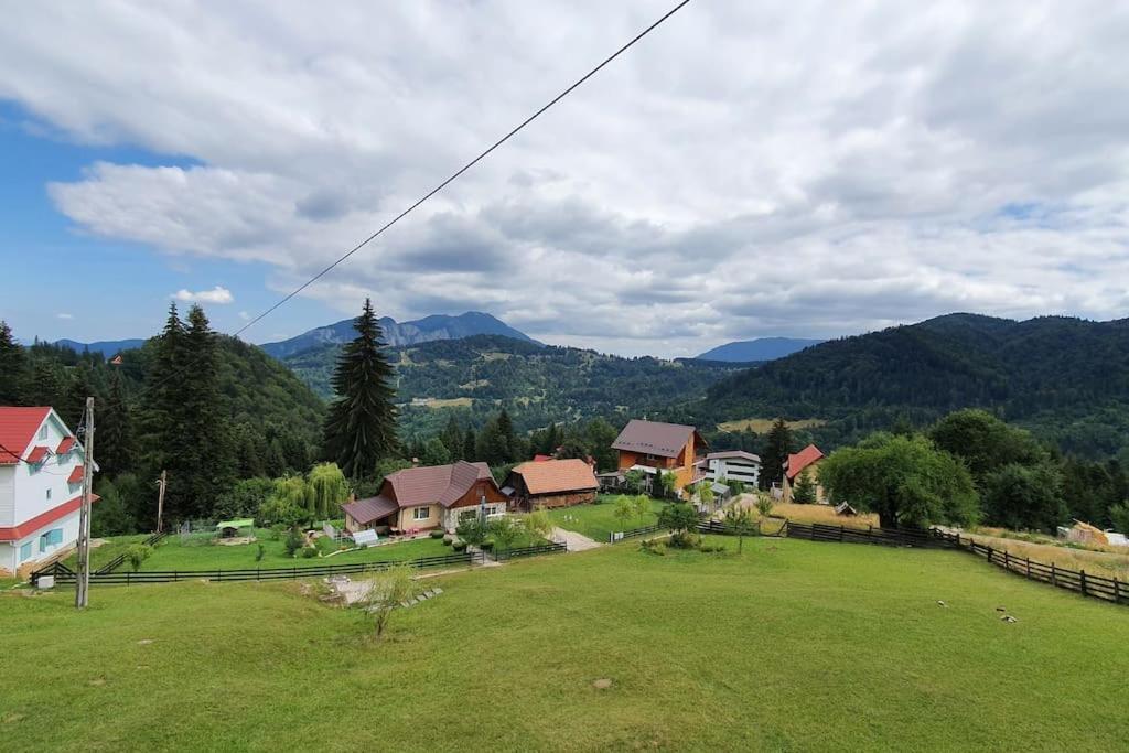 Chalet Dor De Munte Predeal Exterior photo